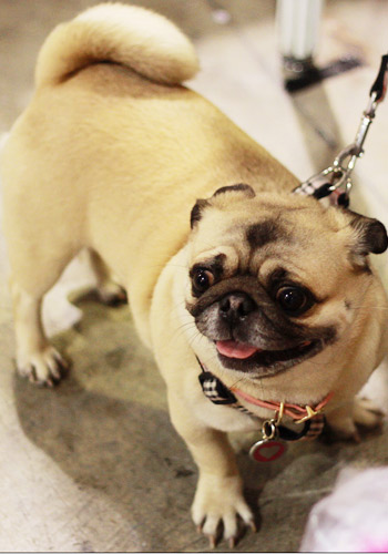 赫内斯：拜仁正在存钱明夏豪购 但不会有2亿引援_BJL平台集团