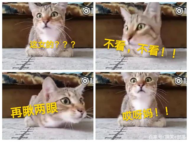 
这支德甲球队有点强！9年4次获得欧冠资格 此前3次均无缘淘汰赛_BJL平台集团