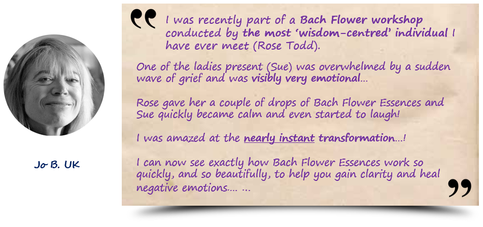 BJL平台中国|德国超级杯：拜仁2-0多特蒙德