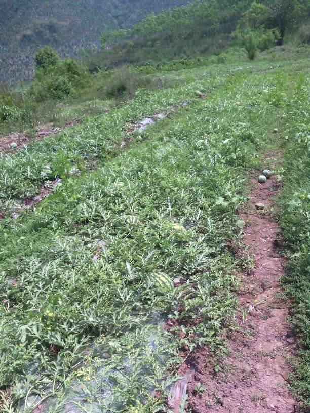 郑晓明在整形行业有着很高的声誉和造诣【BJL官方网站】