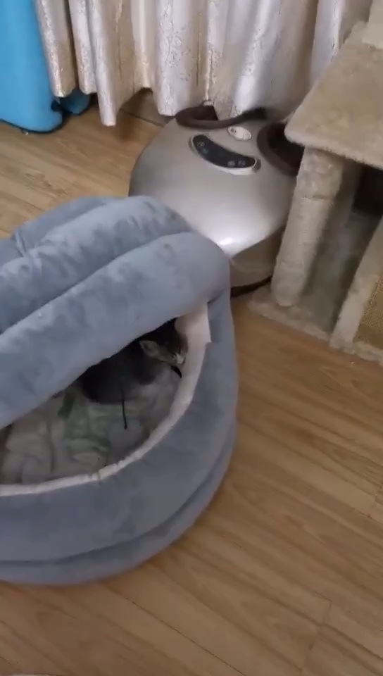 吴宣读BICES 2021组委会继续评选三大奖项的通知‘BJL平台集团’